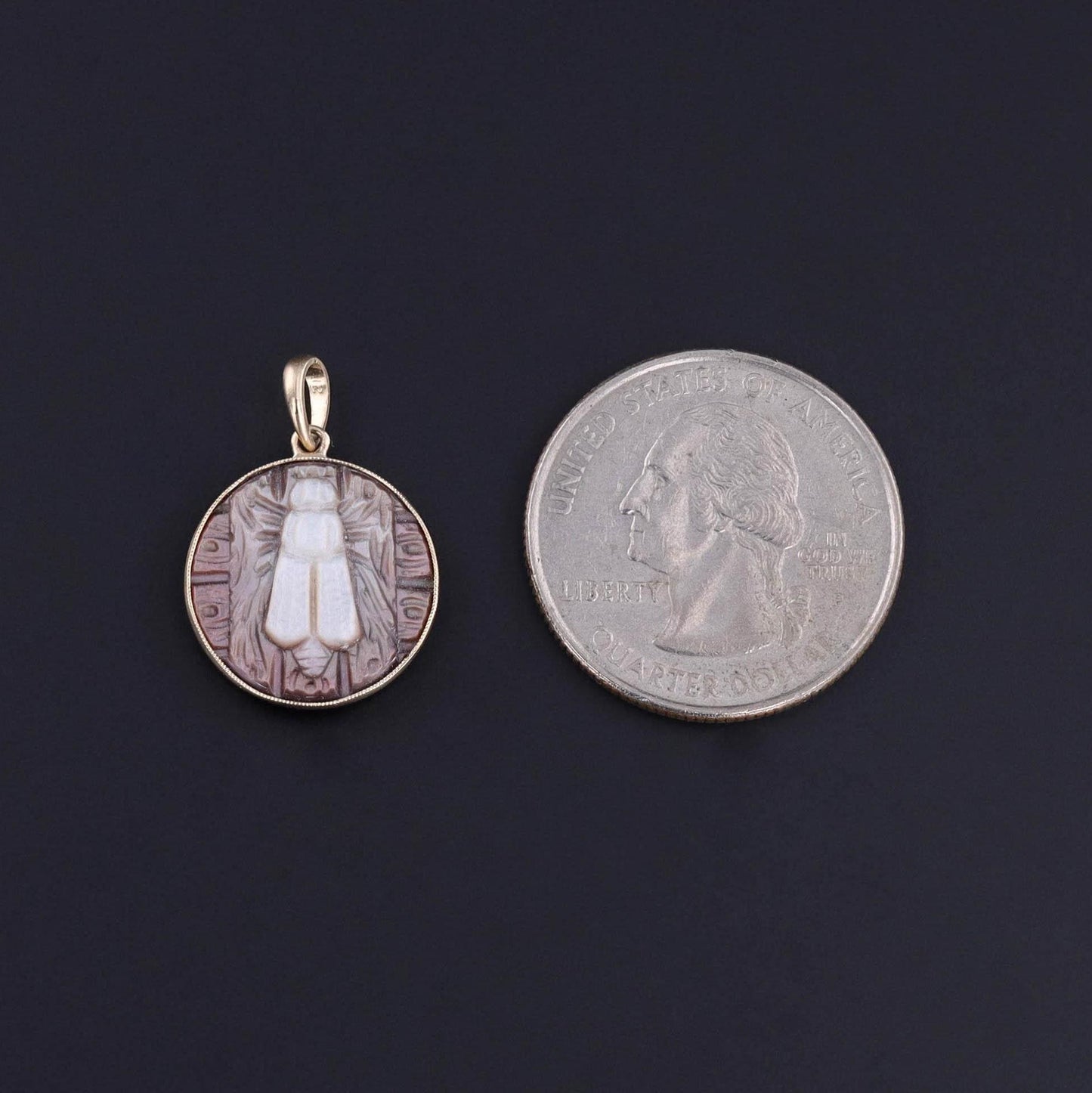 Antique Carved Mother of Pearl Fly Pendant