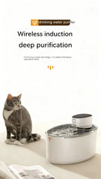 2.5L Automatic Pet Water Dispenser