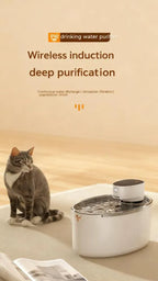 2.5L Automatic Pet Water Dispenser