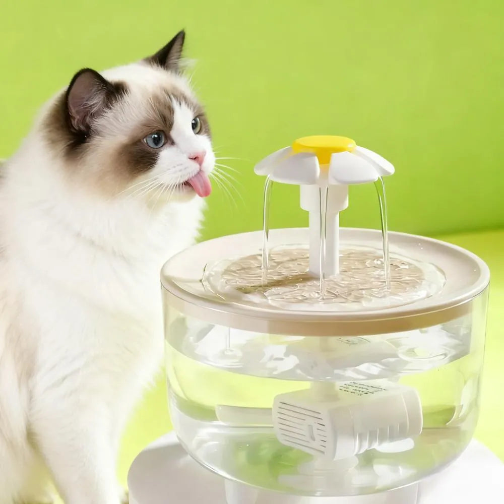 Smart Quiet Pet Water Dispenser | USB Powered