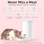Automatic Pet Feeder: Your Peace of Mind