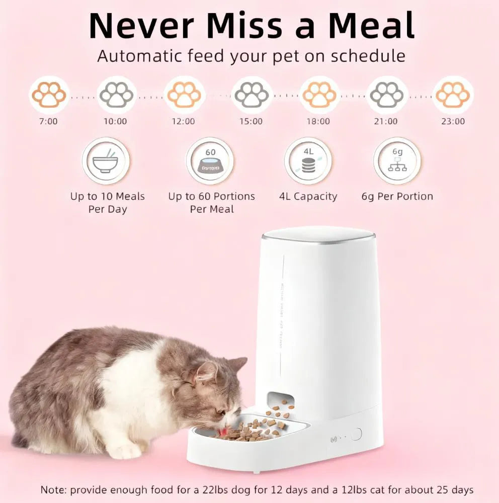 Automatic Pet Feeder: Your Peace of Mind