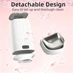 Automatic Pet Feeder: Your Peace of Mind