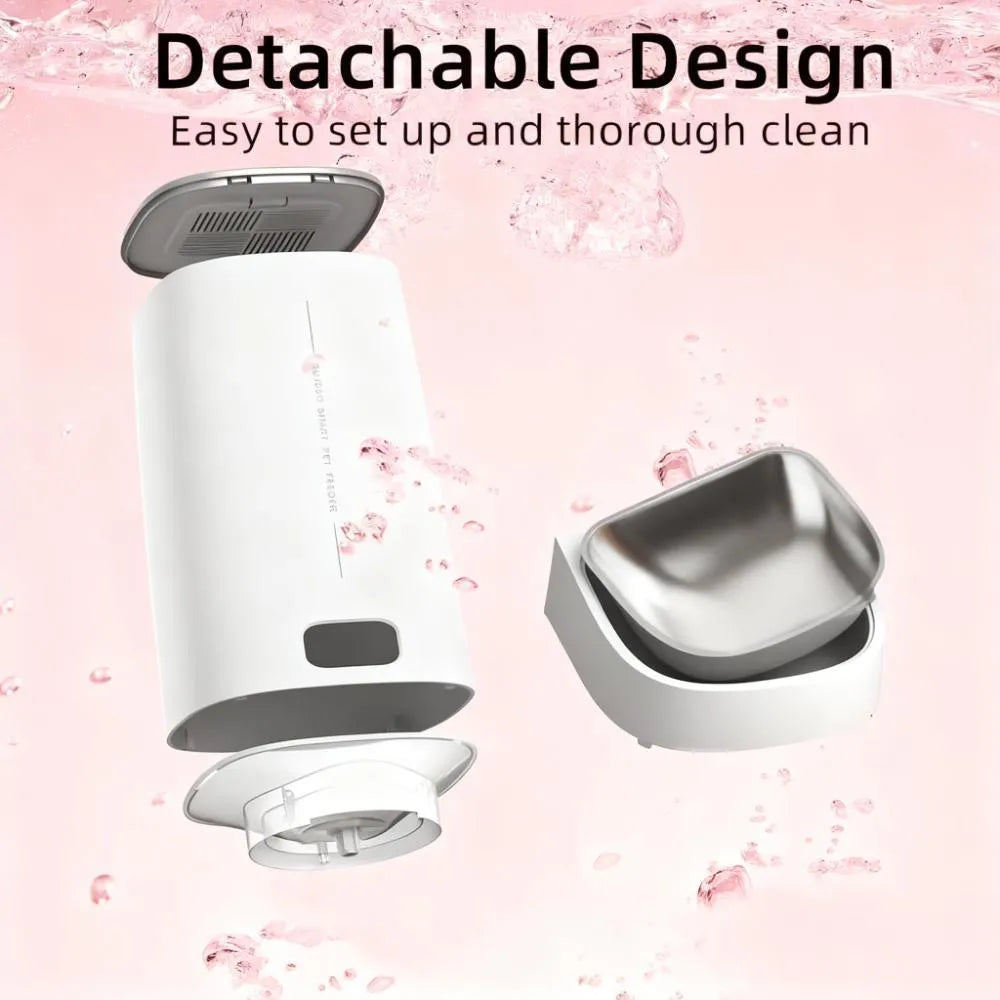 Automatic Pet Feeder: Your Peace of Mind